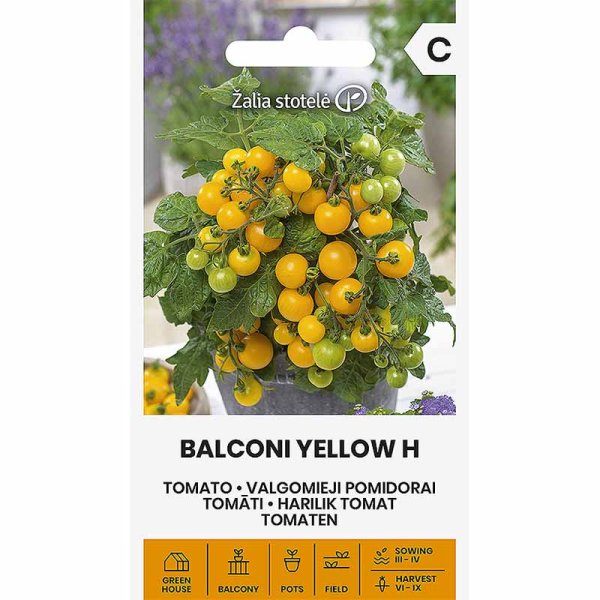 Tomate 'Balconi yellow' H