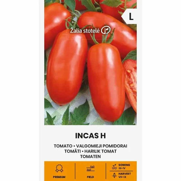 Tomate 'Incas' H