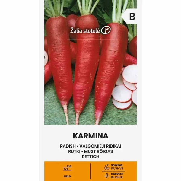 Radieschen 'Karmina'