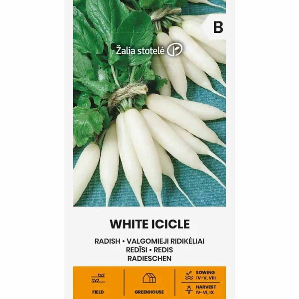 Radieschen 'Icicle'