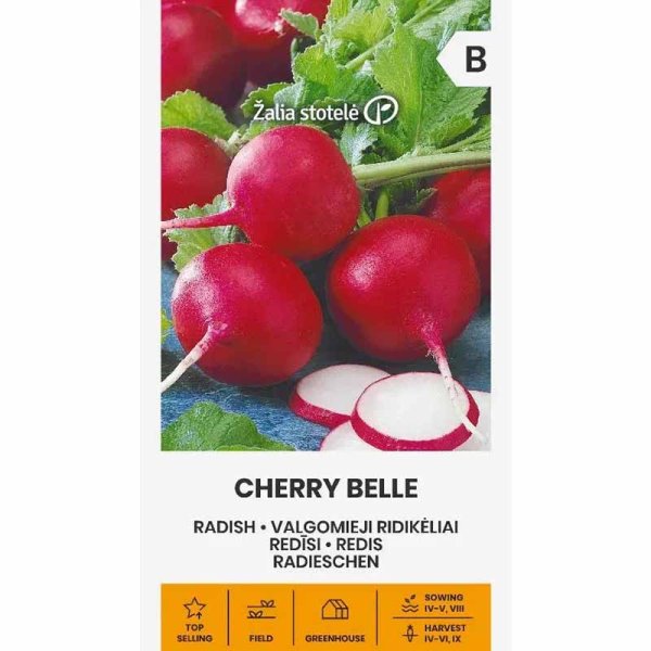 Radieschen 'Cherry belle'