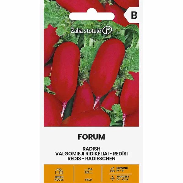 Radieschen 'Forum'