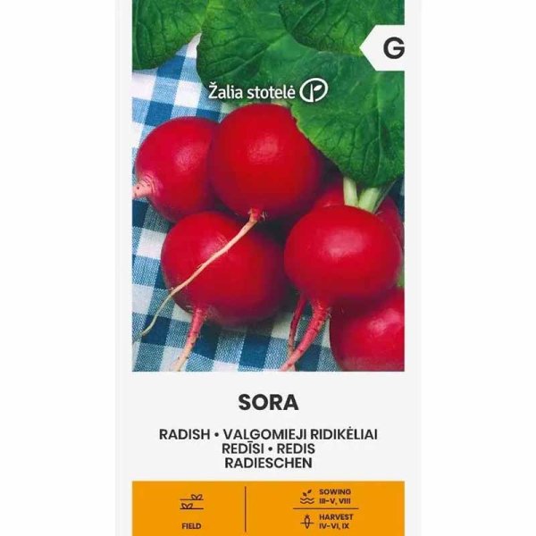 Radieschen 'Sora'