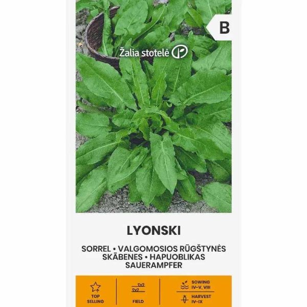 Wiesensauerampfer 'Lyonski'