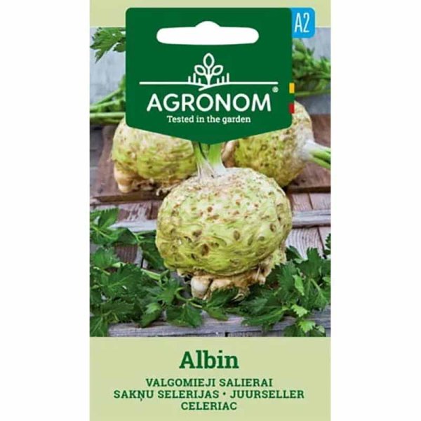 Celeriac 'Albin'