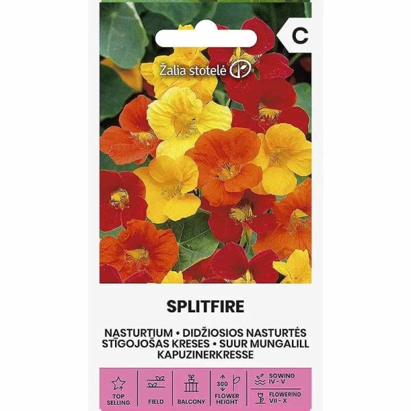 Kapuzinerkresse 'Splitfire'