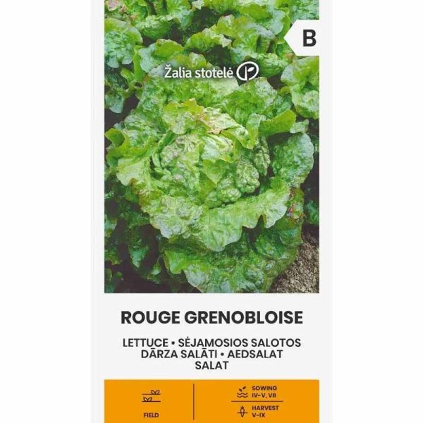 Salat 'Rouge Grenobloise'