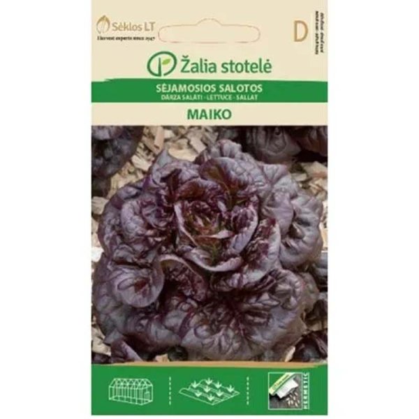 Pflücksalat 'Maiko'