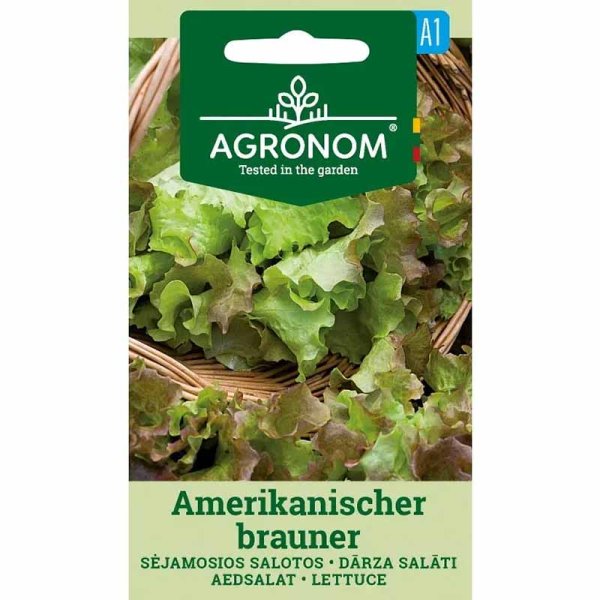 Pflücksalat 'Amerikanischer Brauner'