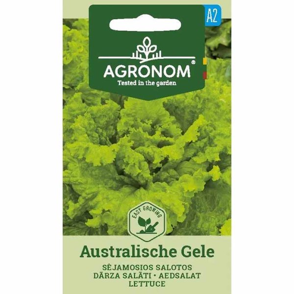 Pflücksalat 'Australische Gele'