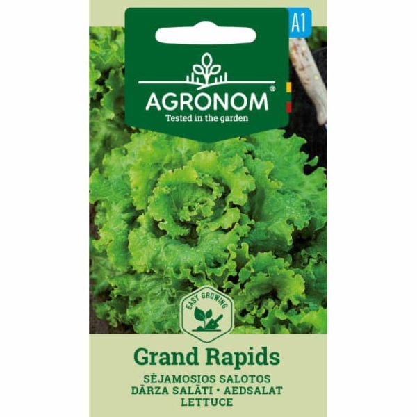 Salat 'Grand Rapids'