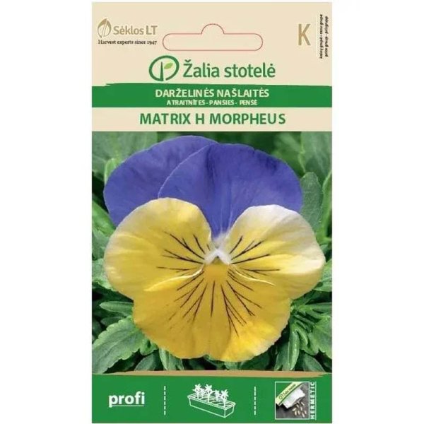 Stiefmütterchen 'Matrix H Morpheus'