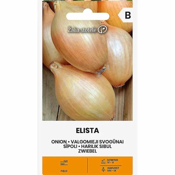 Zwiebel 'Elista'