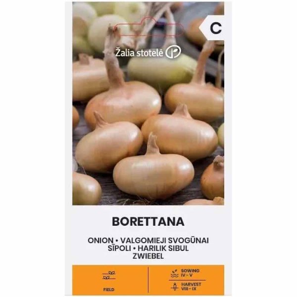 Zwiebel 'Borettana'