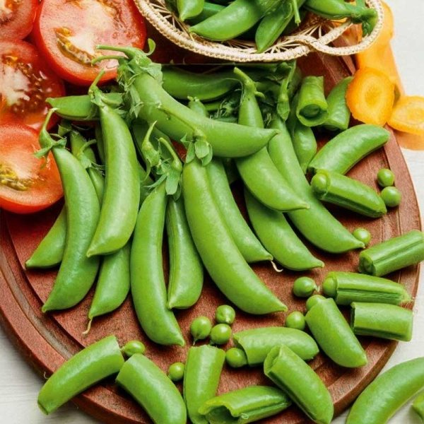 Zuckererbse 'Ambrosia'