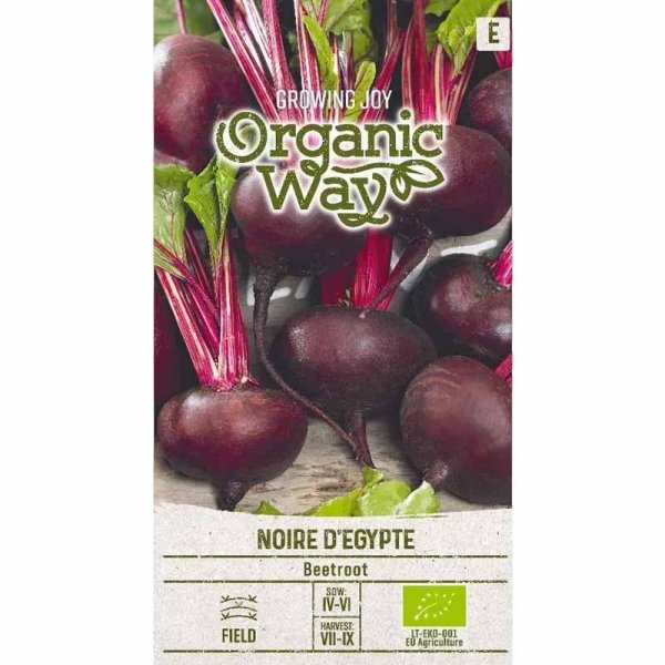 Beetroot 'Noire d'egypte'