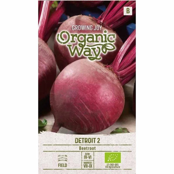 Rote Bete 'Detroit 2'