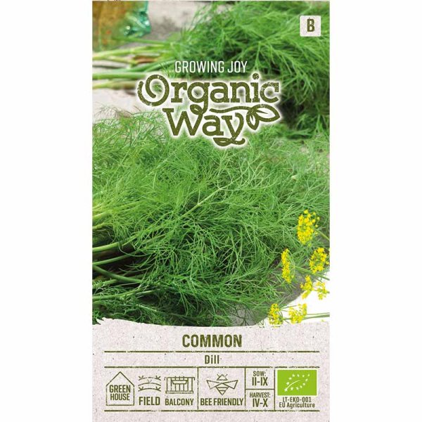 Dill 'Common'