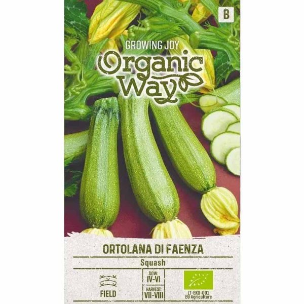 Zucchini 'Ortolana di faenza'
