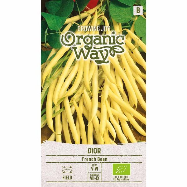Wachsbohne 'Dior'