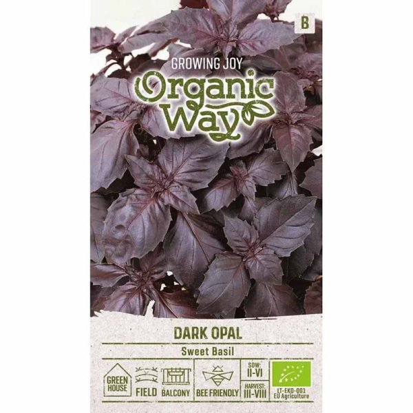 Basilikum 'Dark opal'