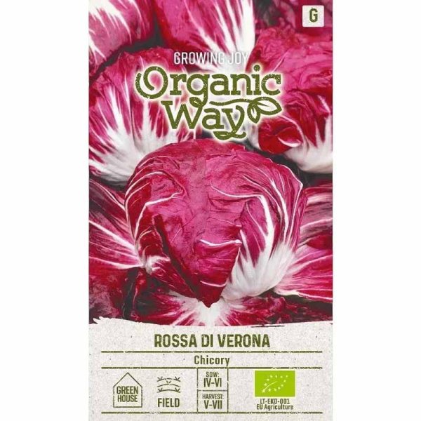 Radicchio 'Rossa di verona'