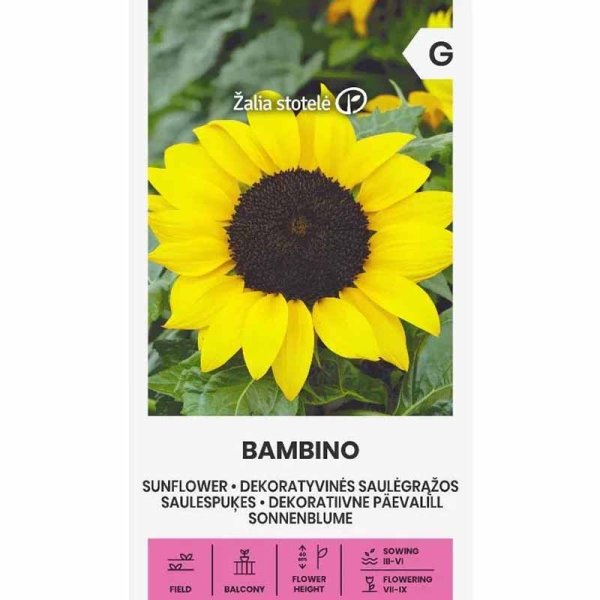 Sonnenblume 'Bambino'
