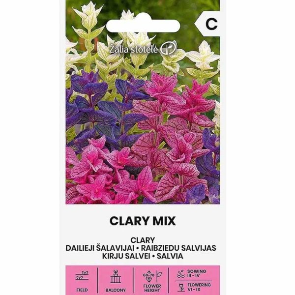 Bunt-Salbei Mischung