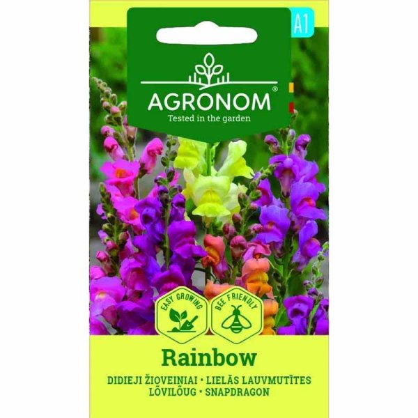 Löwenmäulchen 'Rainbow'