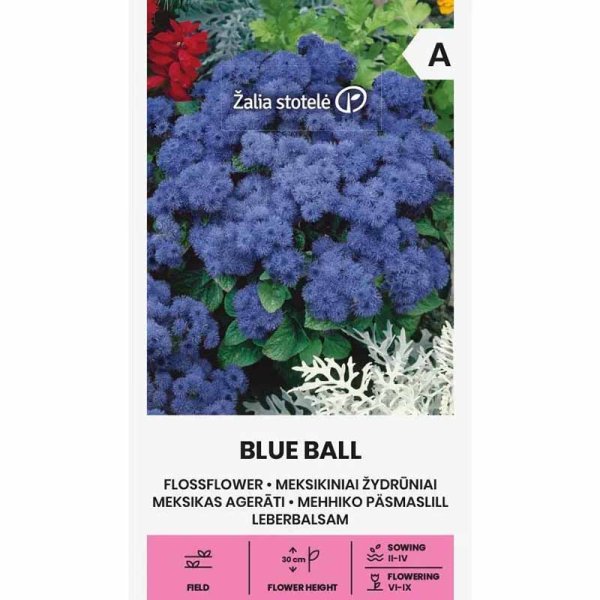 Leberbalsam 'Blue Ball'