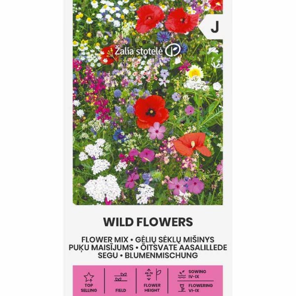Blumenmischung 'Wild Flowers'