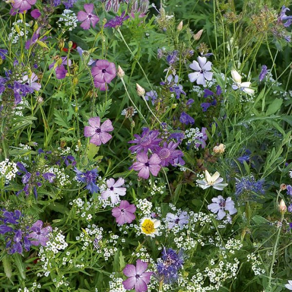 Flower Mix Japan mix