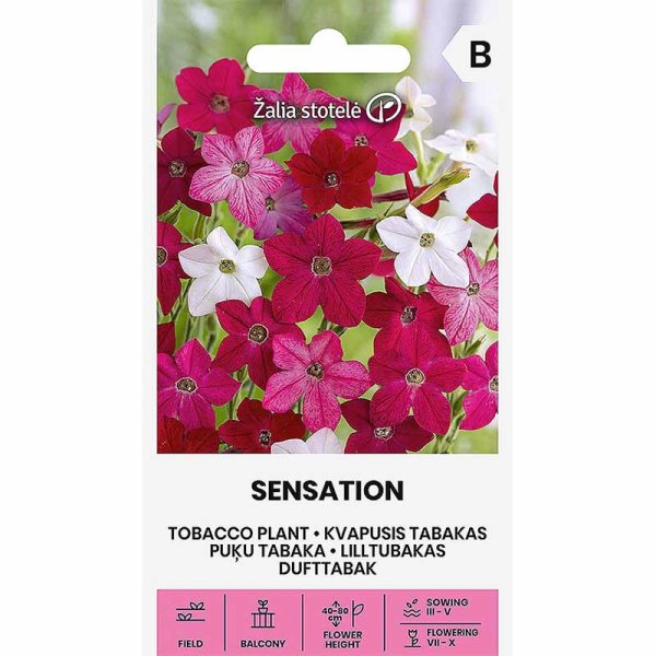 Ziertabak 'Sensation'