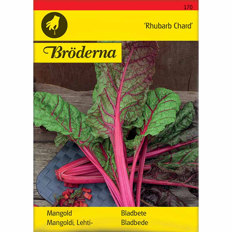 Mangold 'Rhubarb Chard'