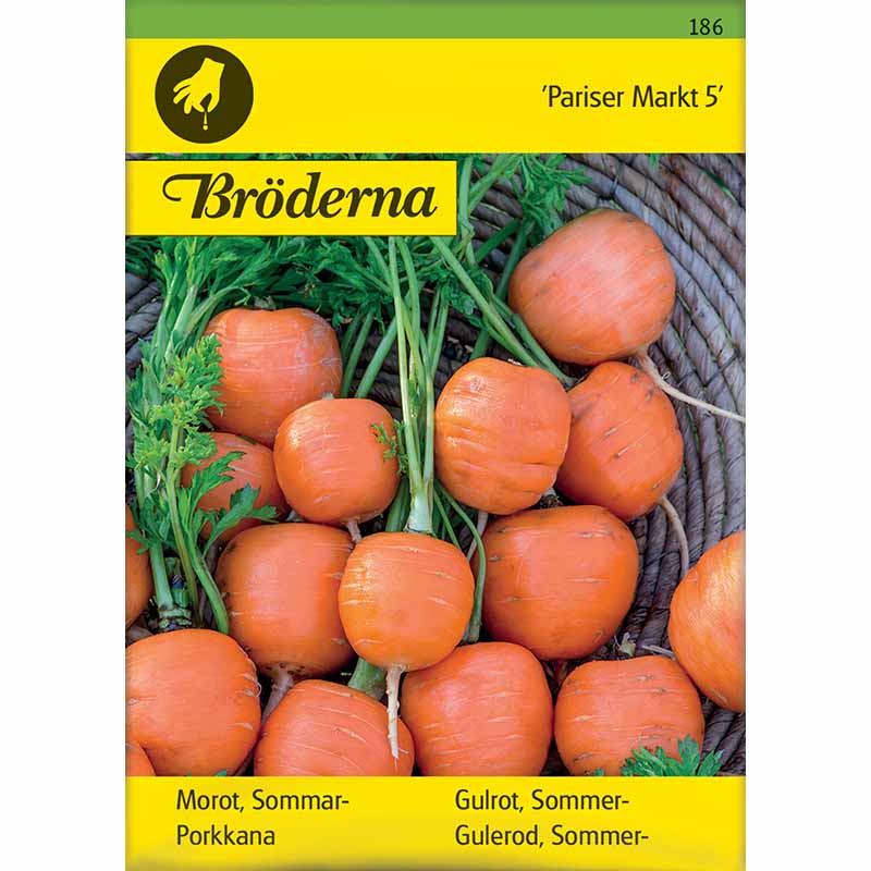 Sommermöhre 'Pariser Markt'