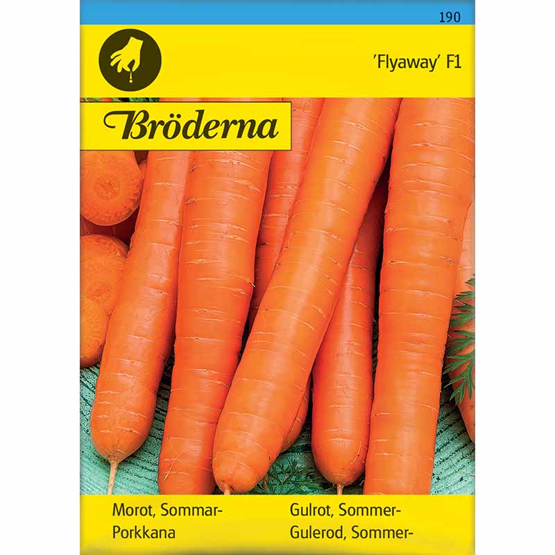 Möhre 'Flyaway' F1
