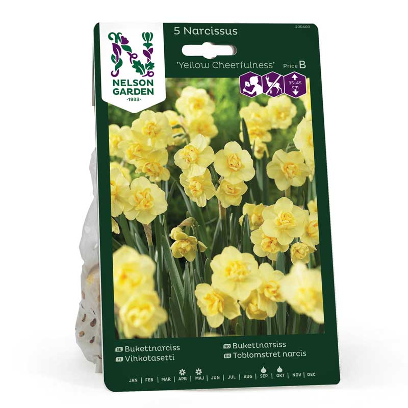 Büschelnarzisse 'Yellow Cheerfulness'