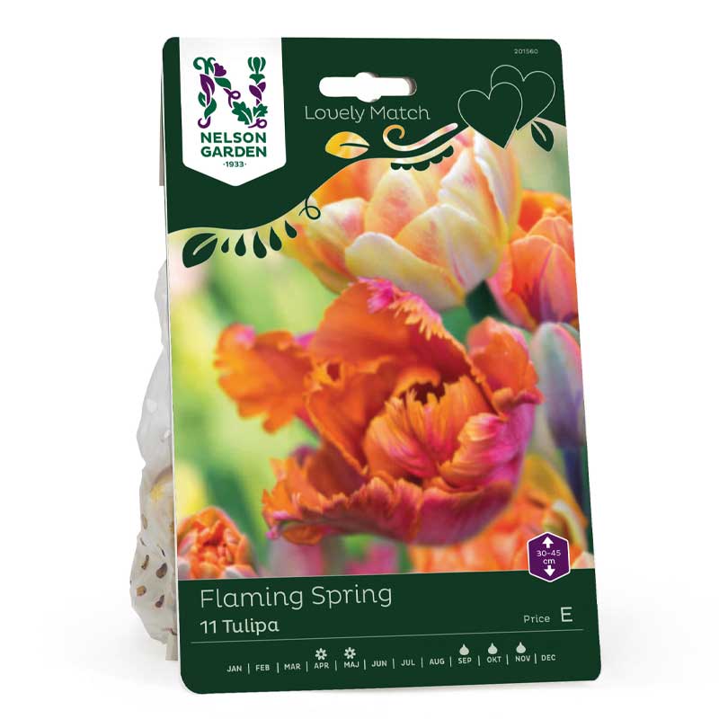 Lovely Match 'Foxy Foxtrot', 'Orange Princess', 'Amazing Parrot'