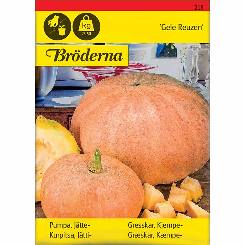 Riesenkürbis 'Gele Reuzen'