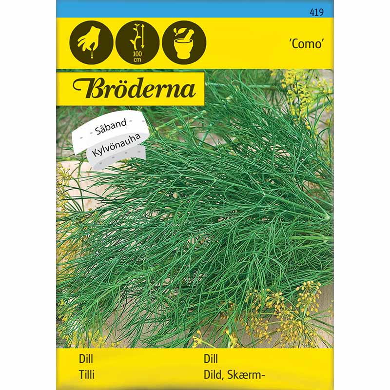 Dill 'Como' Saatband