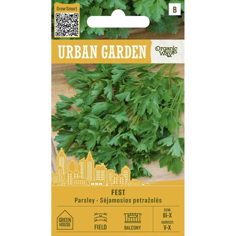 Petersilie ’Fest’