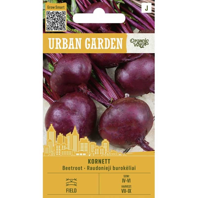 Rote Bete ’Kornett’