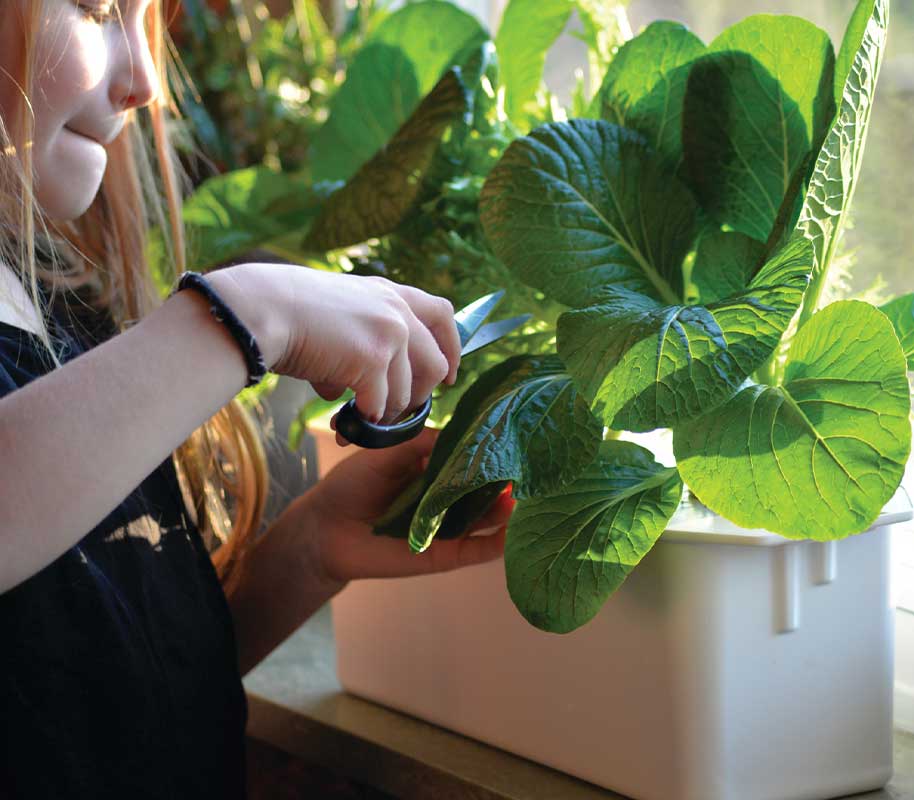 Hydroponisches System Harvy 3 weiß