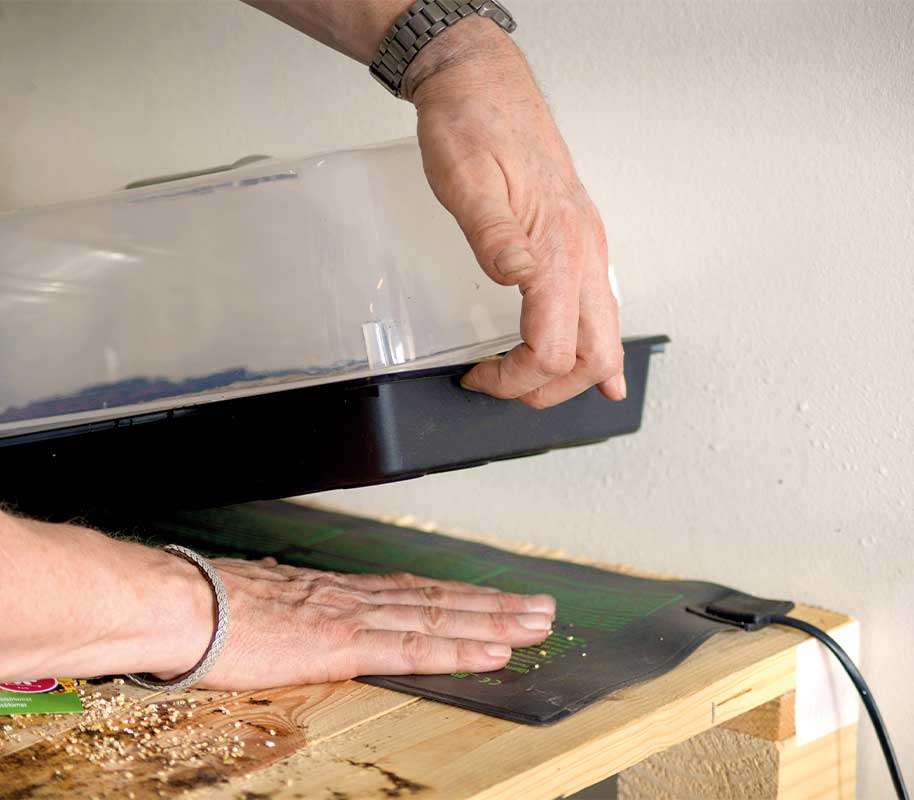 Heizmatte für Jungpflanzen 230V