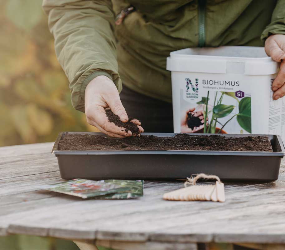 Anzuchtschale fest 23x37cm