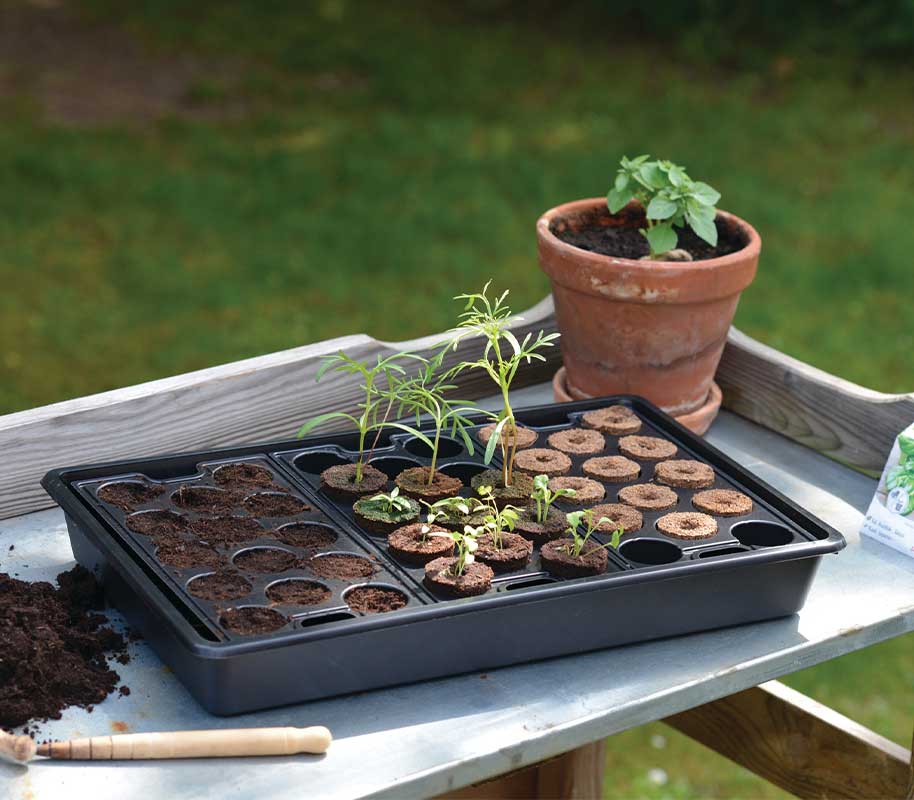 Anzuchtschale fest 23x37cm