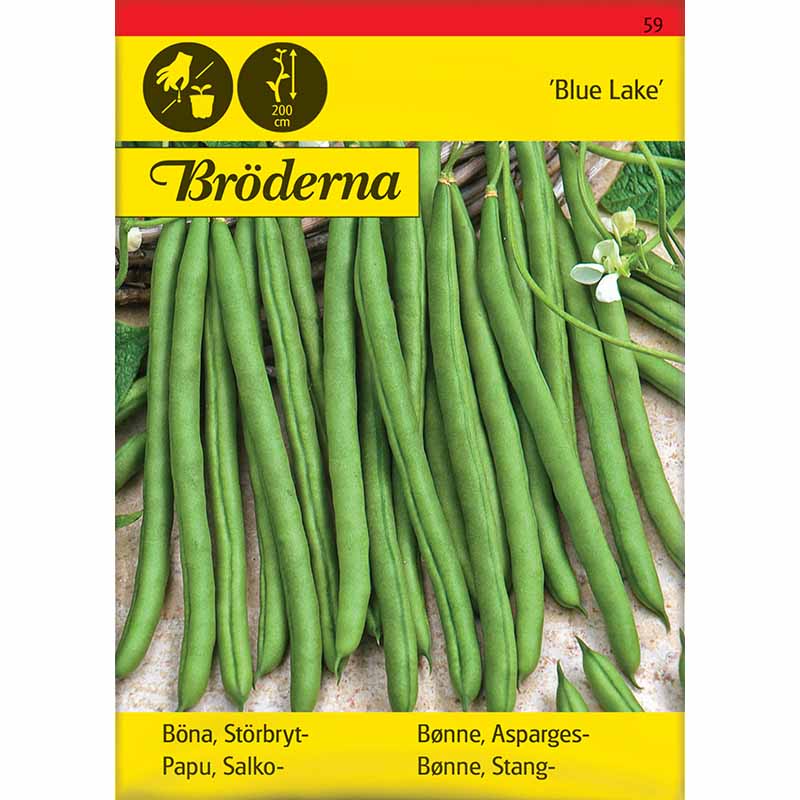 Stangenbrechbohne 'Blue lake'