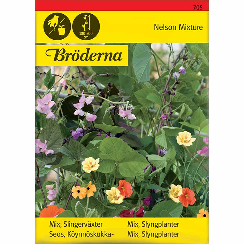 Kletterpflanzen Mischung