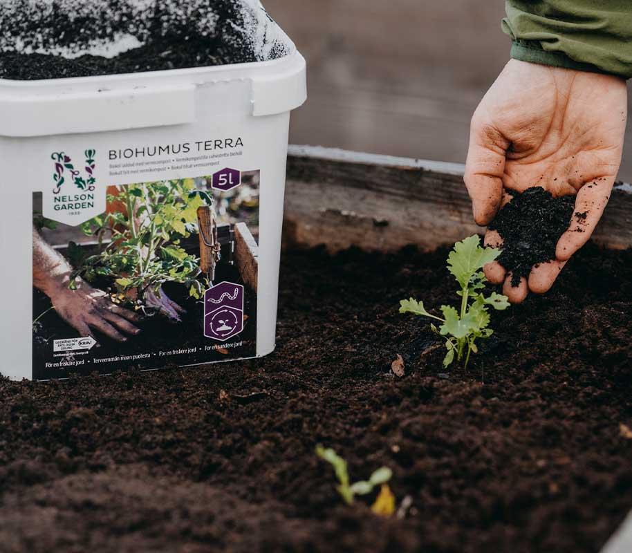 Wurmkompost - Biohumus Terra