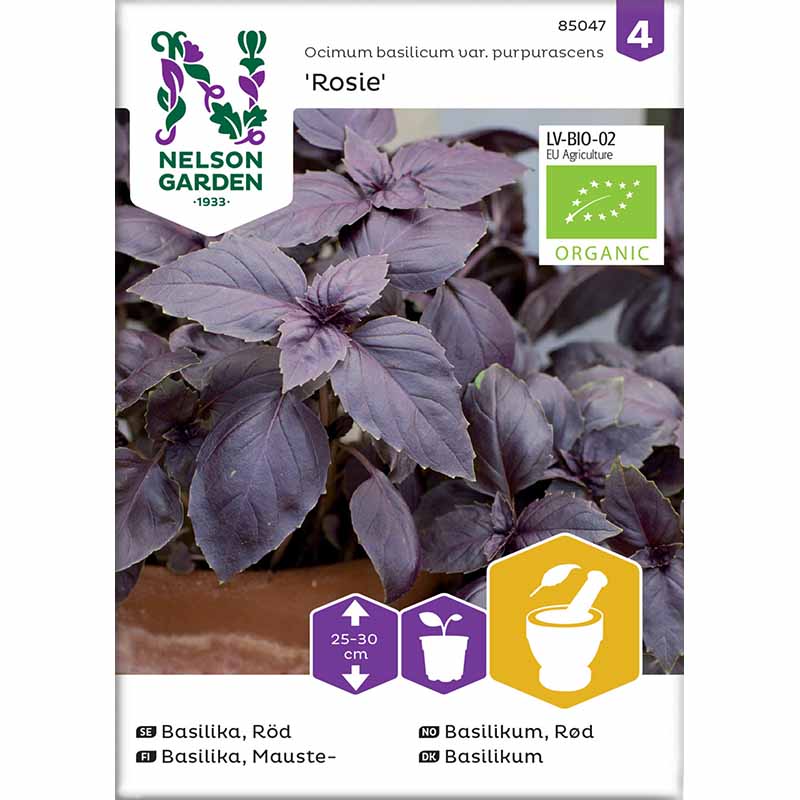 Basilikum 'Rosie'
